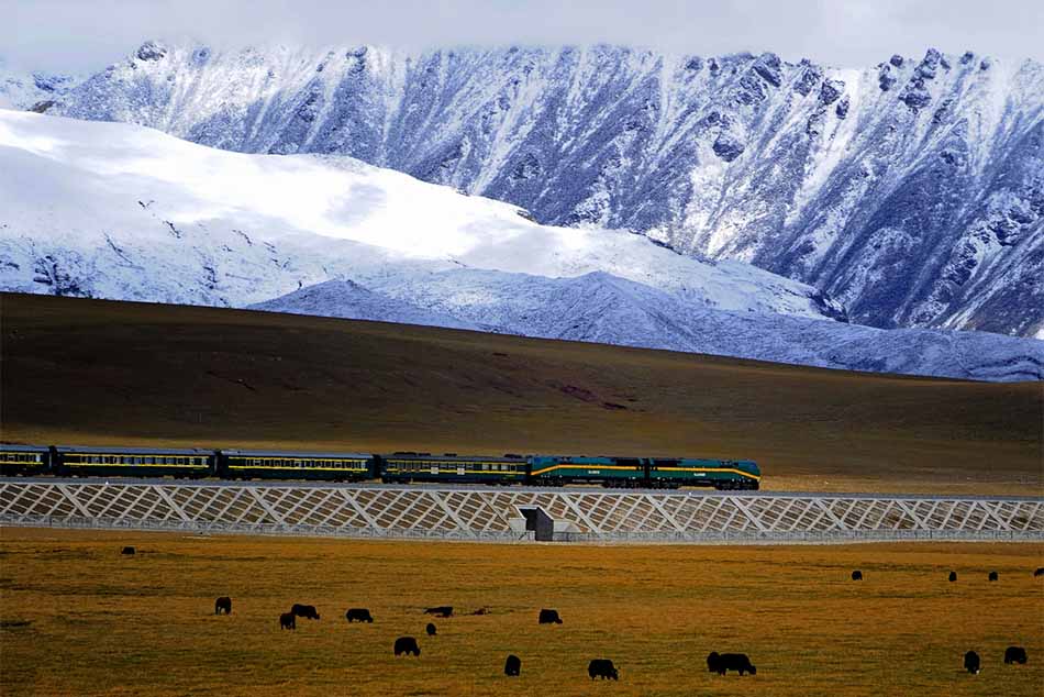 Qinghai Tibet vasútvonal – A világ legmagasabb vasútvonala